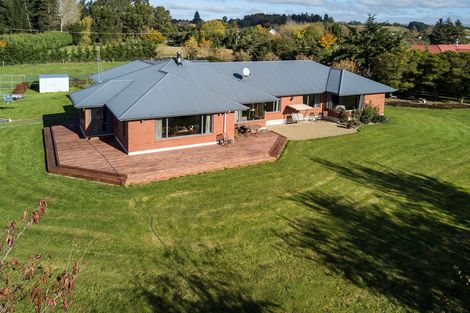 Photo of property in 19 Greig Street, Pleasant Point, 7903