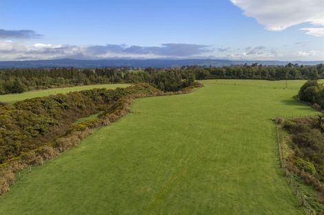 Photo of property in 1230b Omanawa Road, Omanawa, Tauranga, 3171