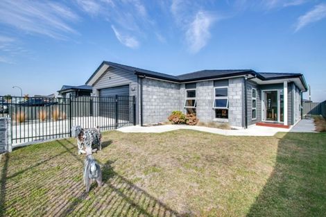 Photo of property in 21 Manganui Place, Te Awa, Napier, 4110