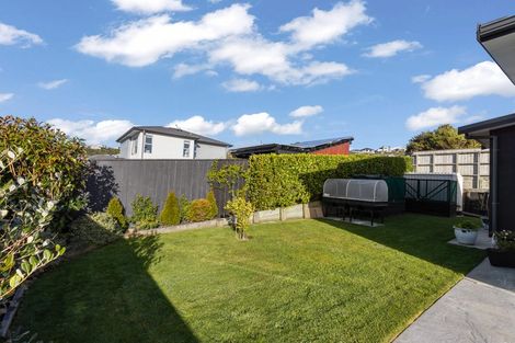 Photo of property in 17 John Burke Drive, Aotea, Porirua, 5024