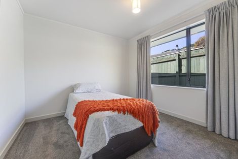 Photo of property in 60 Chelsea Avenue, Richmond, 7020