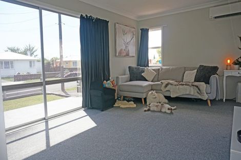 Photo of property in 24 Ferguson Street, Levin, 5510