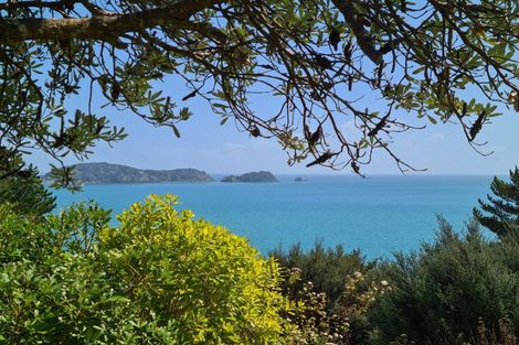 Photo of property in 1114 Colville Road, Amodeo Bay, Coromandel, 3584