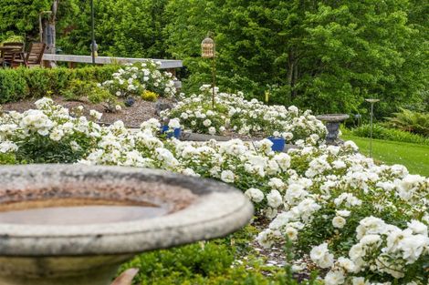 Photo of property in 69 Francis Road, Whakamarama, Tauranga, 3172