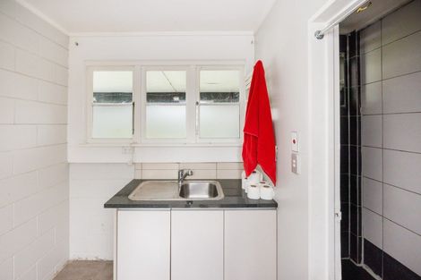 Photo of property in 110 Limbrick Street, Terrace End, Palmerston North, 4410
