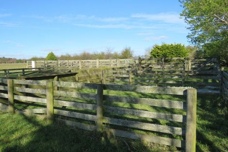 Photo of property in 21 Trotter Road, Woodlands, Invercargill, 9871