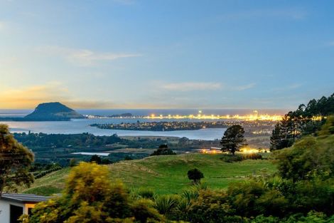 Photo of property in 657 Minden Road, Minden, Tauranga, 3176