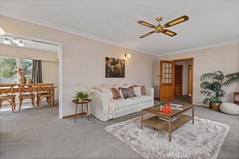 Photo of property in 237 Maungatapu Road, Maungatapu, Tauranga, 3112