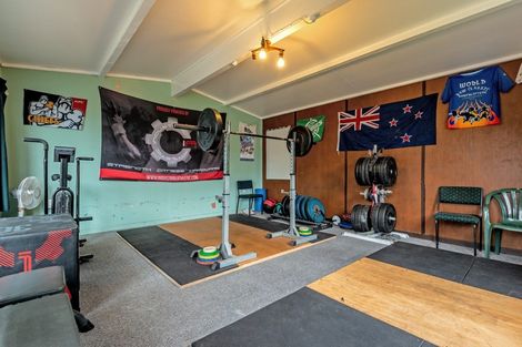 Photo of property in 132 Limbrick Street, Terrace End, Palmerston North, 4410