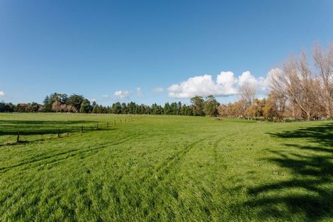 Photo of property in 241 Adelaide Road, Dannevirke, 4930