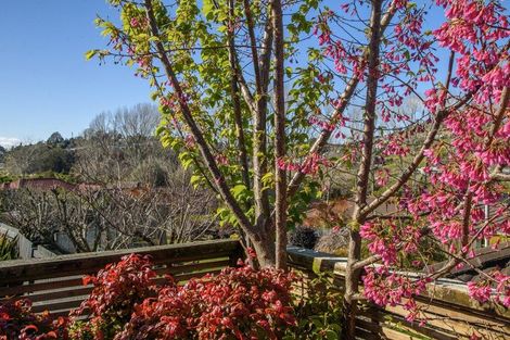 Photo of property in 10 Windover Rise, Bethlehem, Tauranga, 3110