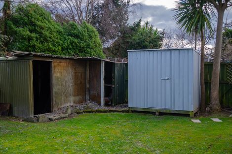 Photo of property in 49 Vogel Crescent, Masterton, 5810