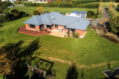 Photo of property in 19 Greig Street, Pleasant Point, 7903