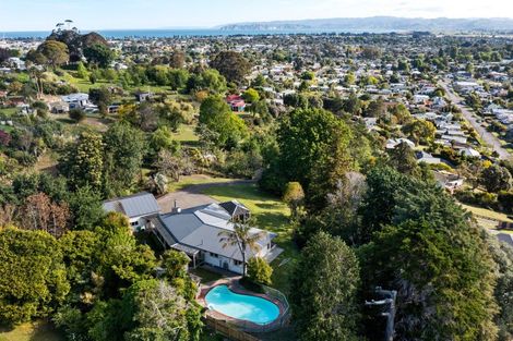 Photo of property in 49 Ayton Street, Mangapapa, Gisborne, 4010