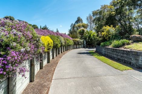 Photo of property in 787 Main North Road, Bay View, Napier, 4182
