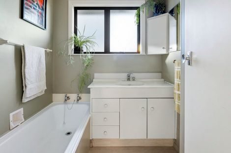 Photo of property in 163 Mahoe Street, Melville, Hamilton, 3206