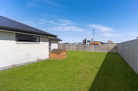 Photo of property in 43 Oaks Drive, Lincoln, 7608