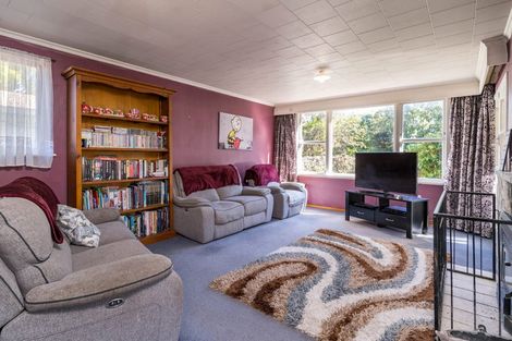 Photo of property in 8 Pope Street, Milton, 9220