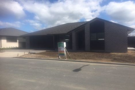 Photo of property in 24 Taffe Crescent, Pyes Pa, Tauranga, 3112