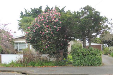 Photo of property in 17 Clark Street, Levin, 5510