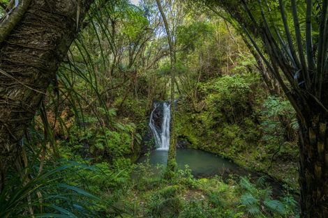 Photo of property in 363 Mill Creek Road, Kaimarama, Whitianga, 3591