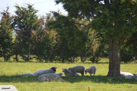 Photo of property in 692 Waiare Road, Okaihau, 0475