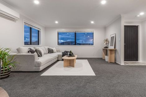 Photo of property in 79 Hinemoa Street, Levin, 5510
