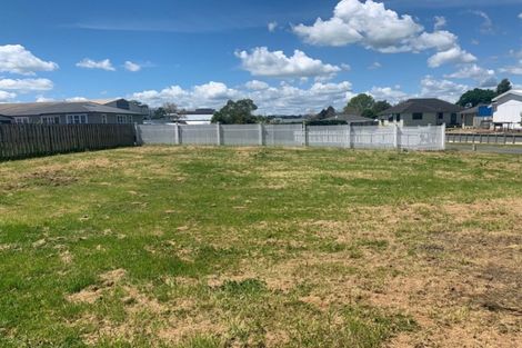 Photo of property in 20 Goodwin Street, Tirau, 3410