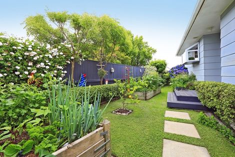 Photo of property in 302 Leo Street, Akina, Hastings, 4122