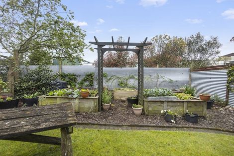 Photo of property in 13 Clothier Street, Putaruru, 3411