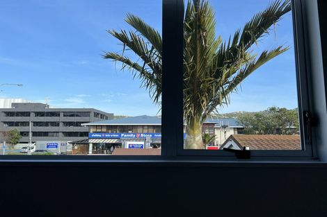 Photo of property in 38 Kings Crescent, Hutt Central, Lower Hutt, 5010