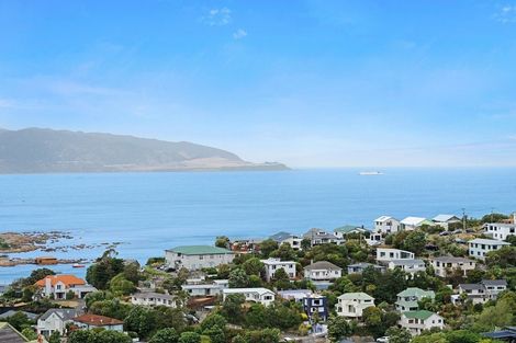 Photo of property in 52 Frobisher Street, Island Bay, Wellington, 6023