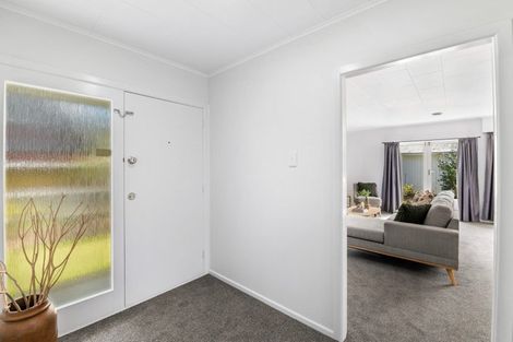 Photo of property in 59 Macarthur Street, Levin, 5510