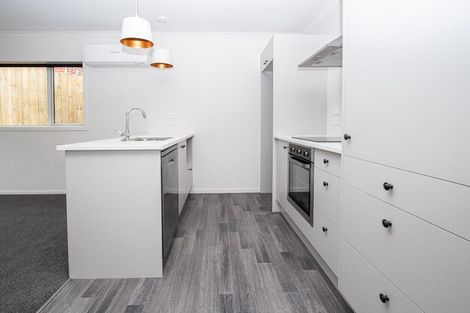 Photo of property in 1/16 Rothwell Street, Dinsdale, Hamilton, 3204