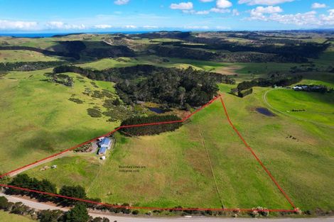 Photo of property in 1325 Te Maire Road, Te Kopuru, 0391