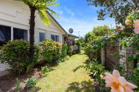 Photo of property in 1 Fahey Avenue, Mount Maunganui, 3116