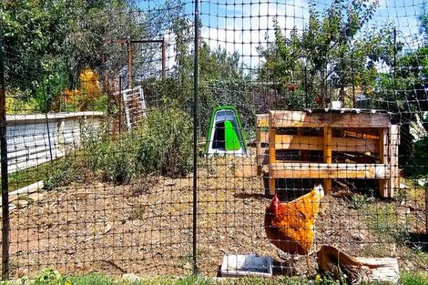 Photo of property in 97 Tiverton Street, Palmerston, 9430