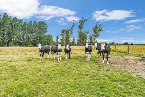 Photo of property in 2/340 Douglas Road, Amberley, 7482