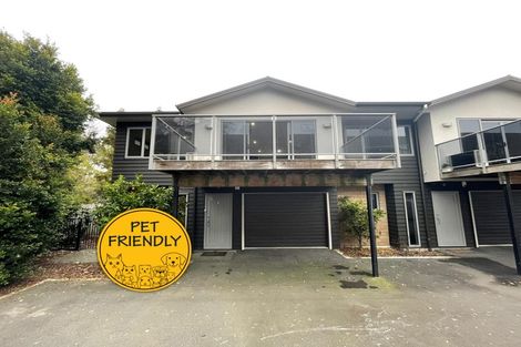 Photo of property in 5/10 Dowding Street, Melville, Hamilton, 3206