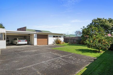 Photo of property in 9 Princes Street, Levin, 5510