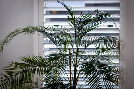 Photo of property in 48a Amorino Drive, Red Beach, 0932