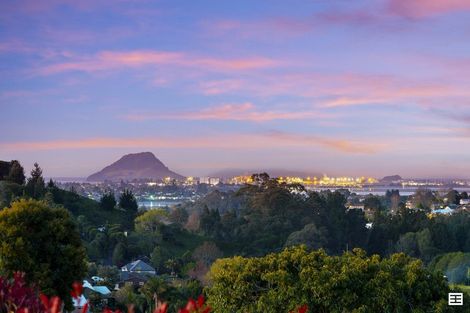 Photo of property in 88 Boscabel Drive, Ohauiti, Tauranga, 3112