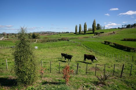 Photo of property in 163a Ngahape Road, Ngahape, Te Awamutu, 3873