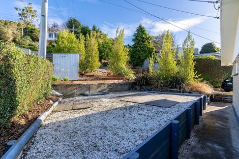 Photo of property in 56 College Street, Caversham, Dunedin, 9012