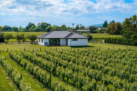 Photo of property in 5 Brook Street, Renwick, 7204