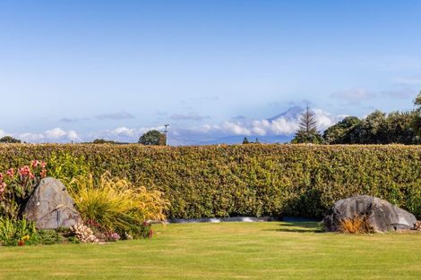 Photo of property in 24c Manawapou Road, Hawera, 4610