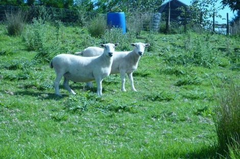 Photo of property in 3914 Kaipara Coast Highway, Mangakura, Warkworth, 0984