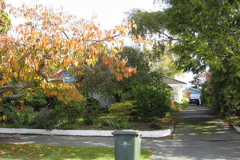 Photo of property in 29 Carruthers Street, Ilam, Christchurch, 8041