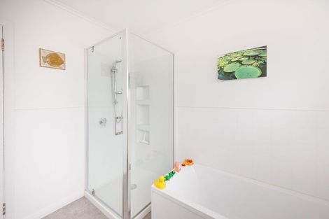 Photo of property in 117 Derby Street, Feilding, 4702