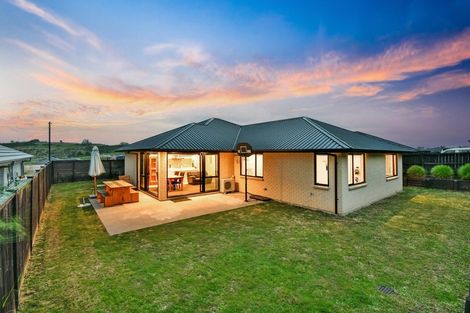 Photo of property in 96 Hitchen Road, Pokeno, 2402